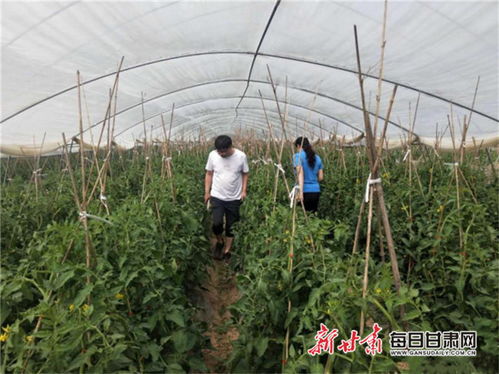 秦州区开展高素质农民培育招生工作